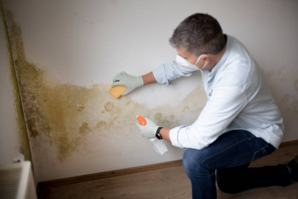 Best Emergency Mold Remediation  in Lawrenceville, GA
