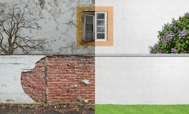 Best Basement Mold Removal  in Lawrenceville, GA